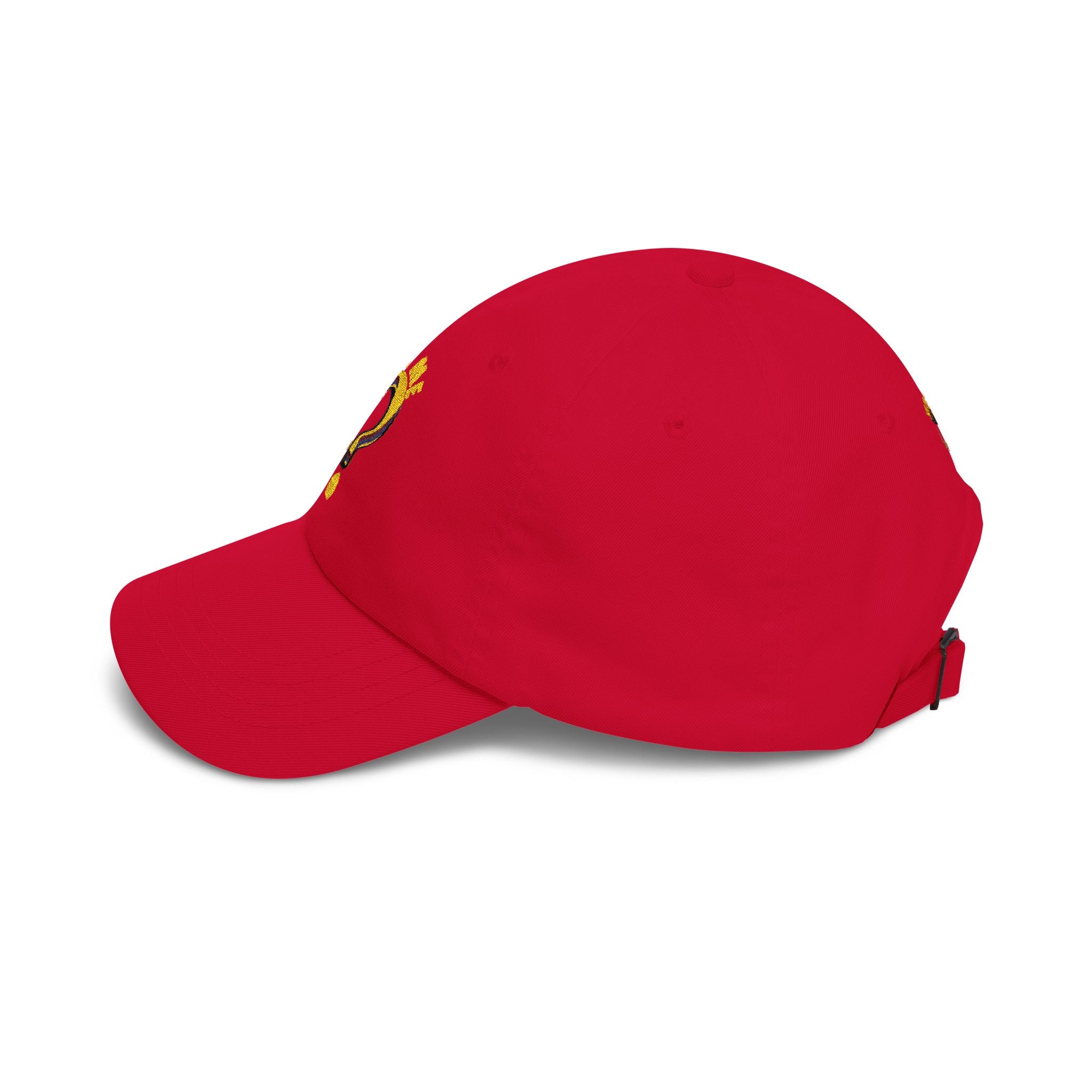 Dad Cap — 'Why Me?' Question Mark Embroidered Baseball Hat