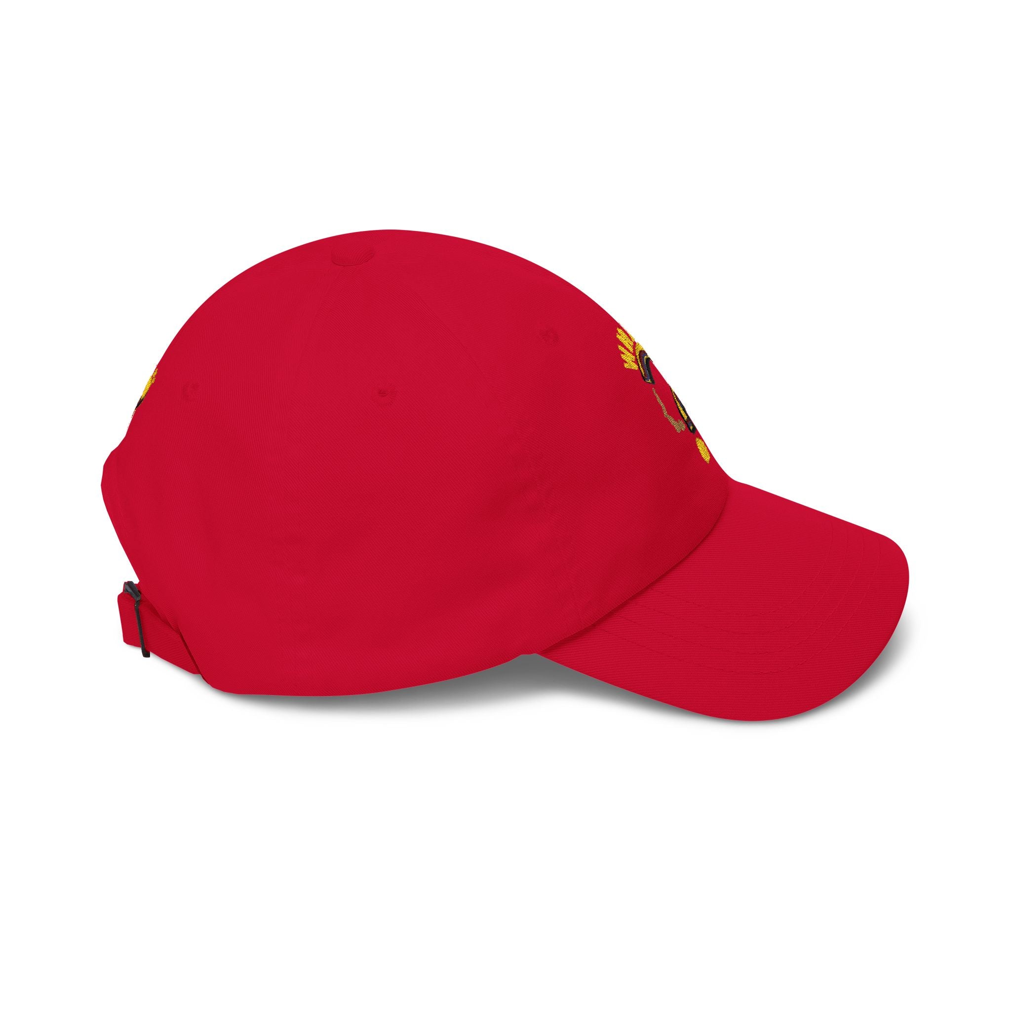 Dad Cap — 'Why Me?' Question Mark Embroidered Baseball Hat